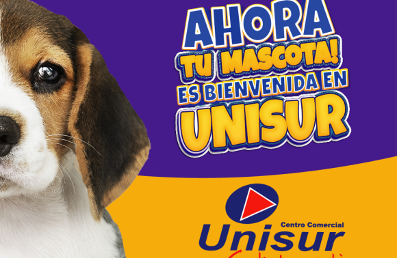 Reglamento de mascotas